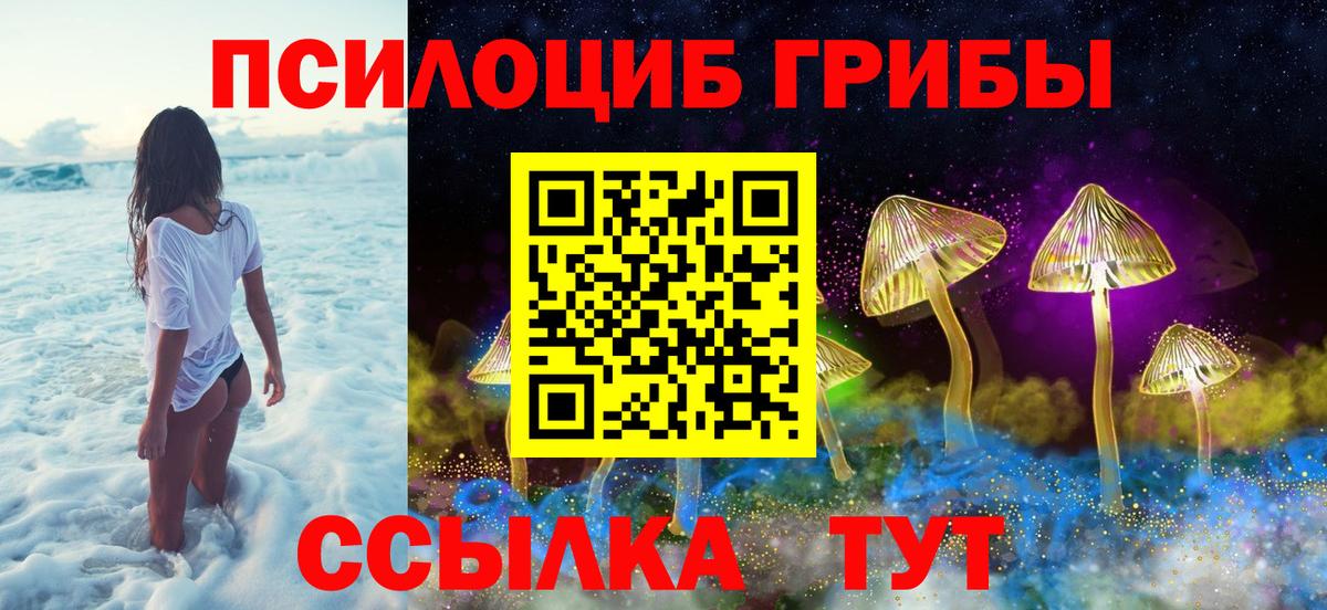 Псилоцибиновые грибы Psilocybe Казань