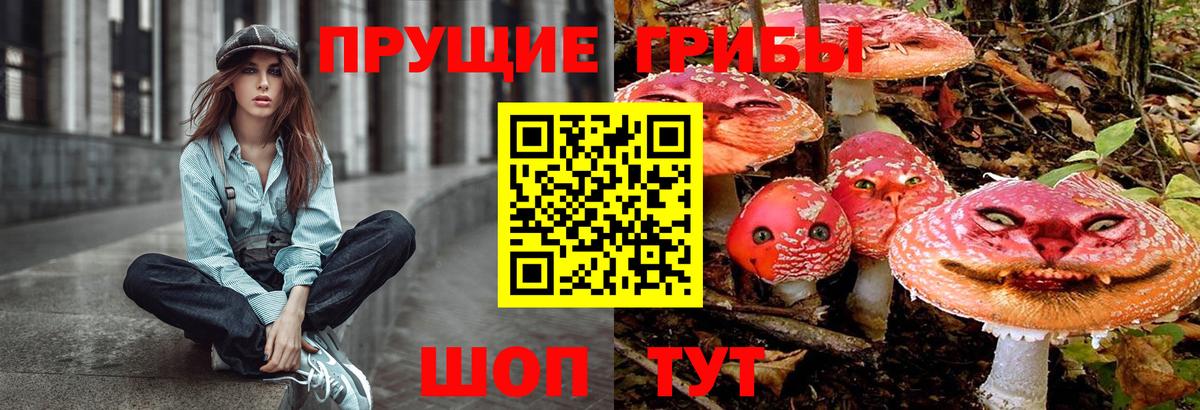 Казань  Галлюциногенные грибы Psilocybine cubensis  Вход с VPN  Галлюциногенные грибы MAGIC MUSHROOMS 